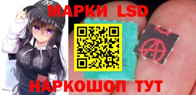 a pvp Новокубанск