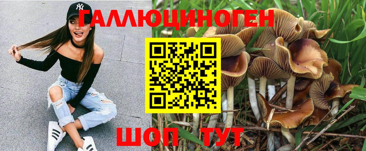 Среднеуральск  Псилоцибиновые грибы мицелий  Вход с VPN 